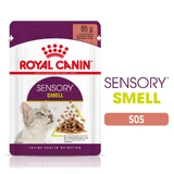 ROYAL CANIN Sensory Smell natvoer voor katten geurprikkeling (in saus), 85g