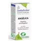 Esential Aroms Angelica Root Ulei esențial 5Ml