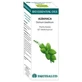 Equisalud Bio Essential Oils Ulei esențial de busuioc 10ml
