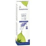 Esential Aroms Salie Bloemenwater 100Ml. Bio