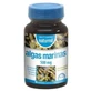 Dietmed Algues Marines 500Mg. 90Comp