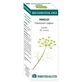 Equisalud Bio Essential Oils Ulei esențial de fenicul 10Ml