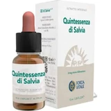 Forza Vitale Quinta Essence Salvia (Salie) 10Ml