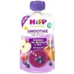 Hipp Bio Bosbessen Appel & Peer Smoothie, 120 ml