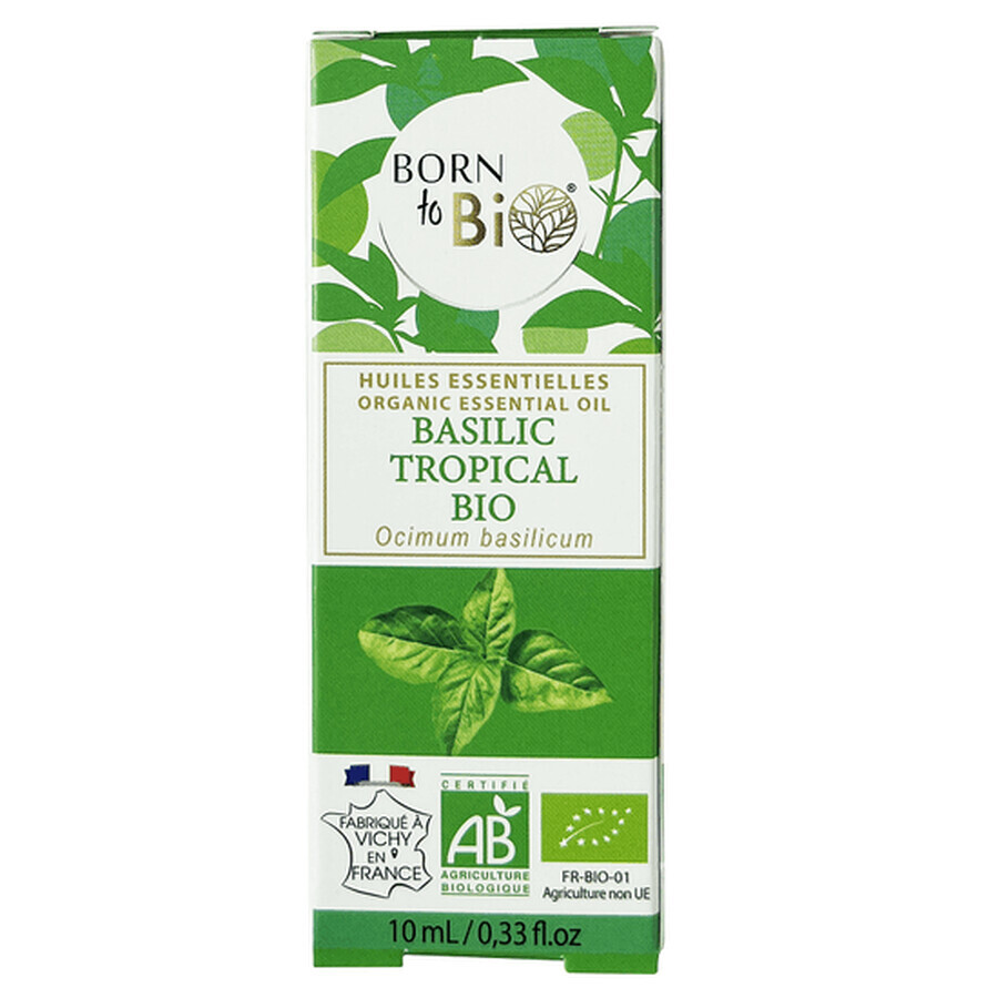 Huile essentielle de Basilic tropical bio, 10 ml, Born to Bio