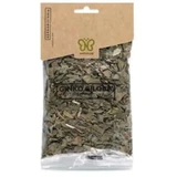 Naturcid Ginkgo Biloba Pflanze 50Gr