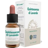 Forza Vitale Quinta Essence Lavender (Lavender) 10Ml