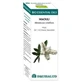 Equisalud Bio Essential Oils Niaouli Ulei esențial 10Ml