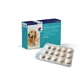 Covetrus Nutricarevet Joint Supplement für Hunde und Katzen, 45Cpd