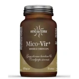 Hyphae Da Terra Mico-Vir (Reishi-Cordyceps) Hdt 70 Capsules