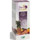Cfn Ferro Fruits Sirop 500Ml