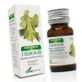 Soria Natural Niaouli Essence 15Cc