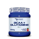 Scientiffic Nutrition Bcaa+Glutamine Watermelon, 500 g