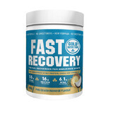 Pina Colada Fast Recovery protein shake, 600 gr, Gold Nutrition