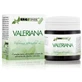 Ergonat Valeriaan Ergosfeer 45 Capsules