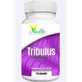 El Valle Tribucaps (Tribulus) 120 kapsułek