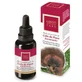 Hiranyagarba Karoti-Take Queue de dinde 30Ml