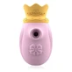 Intense Couples Toys Stimulateur clitoridien 10 modes d'aspiration et de léchage - Rose