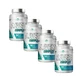 Natural Health Lever Complex Leverbeschermer, 4X90 Capsules