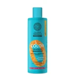 Natura Siberica Amino Plex Farbschutz Shampoo, 400 ml
