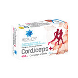 Cordiceps Plus, 30 comprimés, Helcor