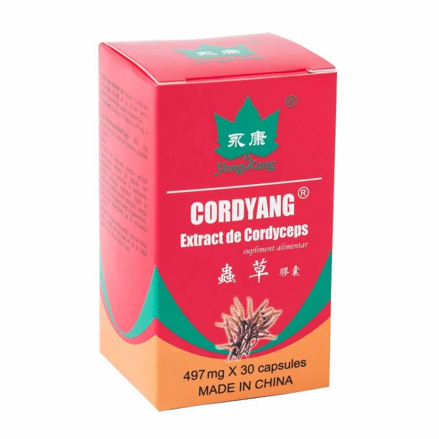 Cordyang 497 mg Cordiceps-Extrakt, 30 Kapseln, Yongkang International China