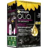 Garnier Olia Colorant permanent fără amoniac pentru un miros plăcut cu uleiuri florale naturale - Ebony Black 1.0