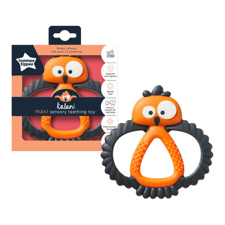 Kalani Maxi Sensory Gingival Ring Toy, +3 Monate, Orange, Tommee Tippee