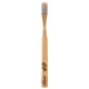 Chicco Cepillo Dental Bamboo 3Y