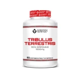 Scientiffic Nutrition Tribulus Terrestris, 100 tabletten