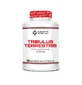 Scientiffic Nutrition Tribulus Terrestris, 100 compresse