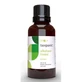 Terpenic Basilic Huile Essentielle Linalol 30Ml