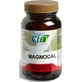 Cfn Magnocal 60 Capsule