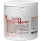 SODANORM enteric coated tablets 100 pcs.