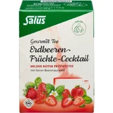 STRAWBERRY Fruit Cocktail Salus filter bags 15 pcs.