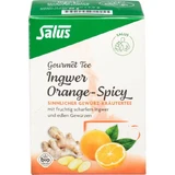 INGWER ORANGE Spicy Tea Salus Filter Bags 15 Capsules