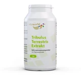 TRIBULUS TERRESTRIS EXTRACT 500 mg capsules 100 pcs.
