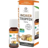 INGWER GINJER forte drops 20 ml
