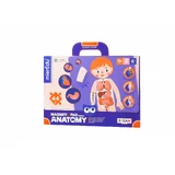 Jeu magnétique éducatif - Anatomie humaine