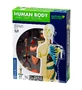 Kit STEM sur l'anatomie du corps humain
