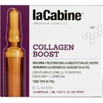 Collagen Boost skin ampoule 10 x 2 ml, La Cabine