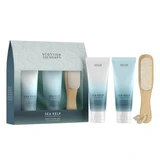 Set Peppermint Foot Scrub 75 ml + Cooling Foot Balm 75 ml + Sea Kelp pumice stone with handle, Scottish Fine Soaps