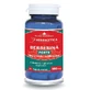 Berberine Forte, 30 gélules, Herbagetica