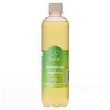 Kombucha with ginger flavor Ginger Ginger, 500 ml, Furori