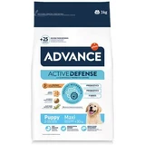 Trockenfutter mit Huhn und Reis für Hunde Maxi Puppy Protect Active Defense, 3 kg, Advance Veterinary Diets