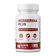 Berberin Plus, 600 mg, 30 vegetarische Kapseln, Nutrific