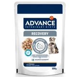 Natvoer met kip voor honden en katten Recovery, 100 g, Advance Veterinary Diets