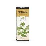 Tincture of Cretisoara, 200 ml, Dorel Plant