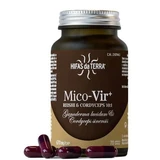 Extract from reishi mushrooms and cordyceps Mico Vir, 70 capsules, Hifas da Terra