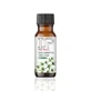 Huile essentielle de thym, 10 ml, Dotz Pharma